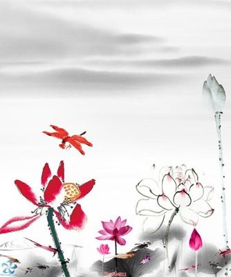 File gốc File in tủ nhựa TU4511 (PNG) chất lượng cao