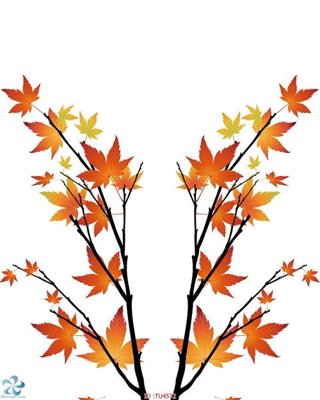 File tranh File in tủ nhựa TU4572 (gốc) in trên kính