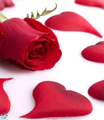 File tranh File in tủ nhựa TU4630 (bản gốc) trang trí văn phòng