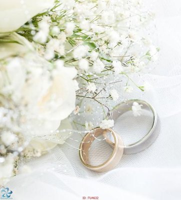 File tranh quảng cáo File in tủ nhựa TU4632 (file gốc) chuyên nghiệp