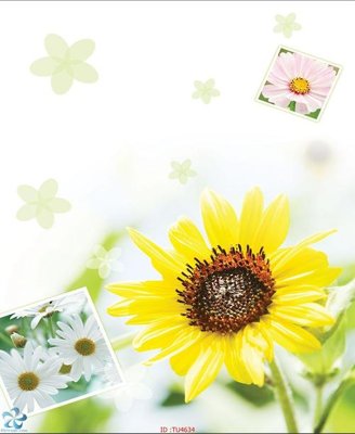 File PSD File in tủ nhựa TU4634 (gốc) cho designer