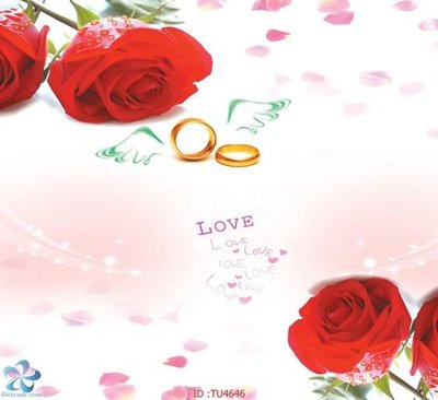 Tải về file gốc File in tủ nhựa TU4646 (chuẩn in ấn)