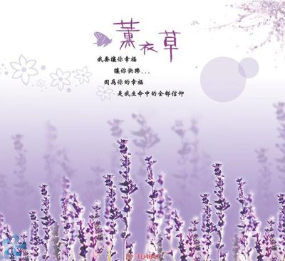 File tranh File in tủ nhựa TU4647 (gốc) chủ đề động vật