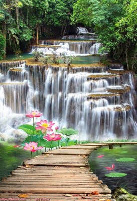 Tải file File in tủ nhựa TU5017 (gốc) in nhanh