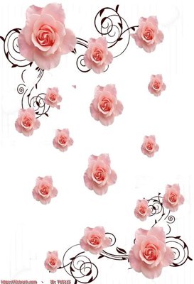 Tải file File in tủ nhựa TU5115 (ảnh gốc) in tráng gương