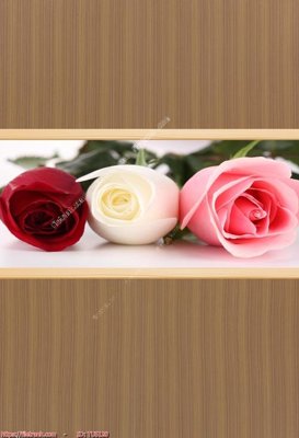 Download file gốc File in tủ nhựa TU5120 (độ nét cao)