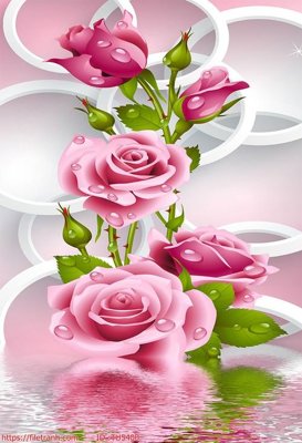 File tranh File in tủ nhựa TU5400 (ảnh gốc) độc quyền