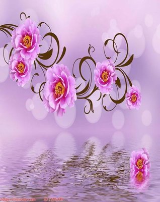 File in trần File in tủ nhựa TU5449 (bản gốc) bầu trời