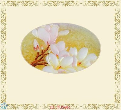 File in mica File in tủ nhựa TU5661 (bản gốc) làm vách ngăn