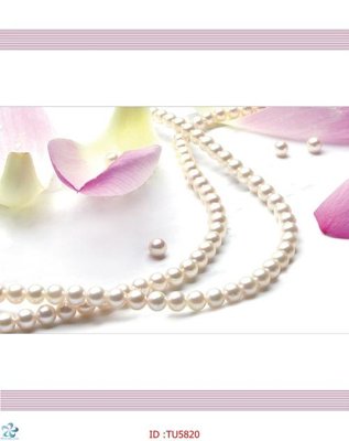 File tranh File in tủ nhựa TU5820 (gốc) in vải canvas