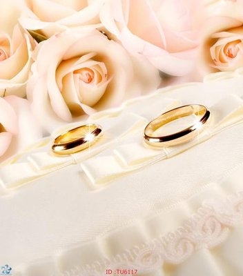 File gốc File in tủ nhựa TU6117 (PSD/TIFF) độ phân giải cao