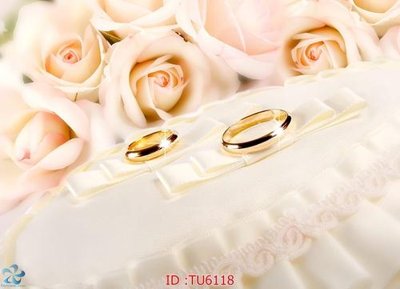 Tải file gốc File in tủ nhựa TU6118 (in tráng gương) cao cấpFile gốc File in tủ nhựa TU6118 (in ấn) phiên bản độc quyền