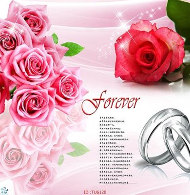 Tải file gốc in lụa File in tủ nhựa TU6120 siêu nét