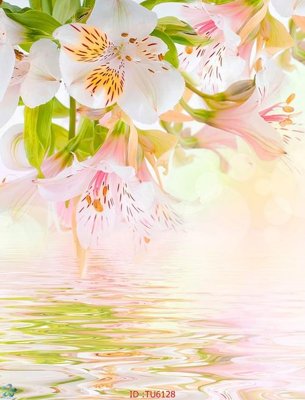 Ảnh gốc File in tủ nhựa TU6128 (độ nét cao) in mica