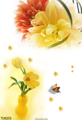 File in trần File in tủ nhựa TU6272 (bản gốc) trời sao