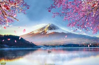 Mua file gốc File tranh phong thủy 9537 (chất lượng) tại Filetranh.com