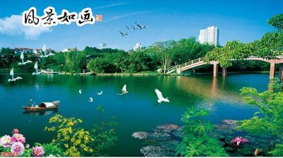 File tranh File tranh phong thủy 9613 (ảnh gốc) chi tiết rõ ràng