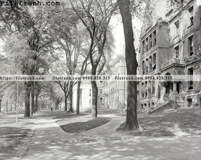 File gốc Brown and Gray_ 1906 (cho in ấn) từ kho Filetranh