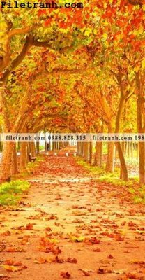 File tranh Buc tranh trang tri loi vao Dai lo Vang 104 (bản gốc) treo tường