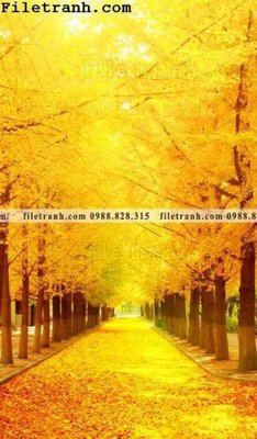 Tệp tin gốc Buc tranh trang tri loi vao Dai lo Vang 119 (chất lượng cao) Buc tranh trang tri loi vao Dai lo Vang 119