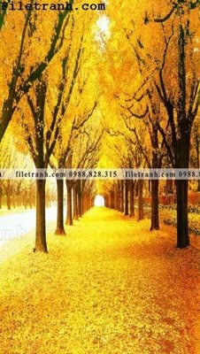 File in ấn Buc tranh trang tri loi vao Dai lo Vang 121 chuyên nghiệp