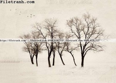 Tải file Buc tuong nen hong hac rung nhiet doi Bac Au 158 (ảnh gốc) in tráng gương