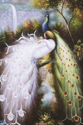 File ảnh File gốc tranh chim công CC133 (gốc) trang trí khách sạn