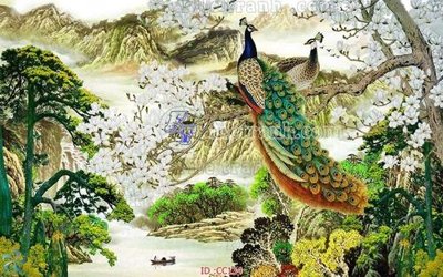 Tải file gốc File gốc tranh chim công CC134 (in bạt) quảng cáo