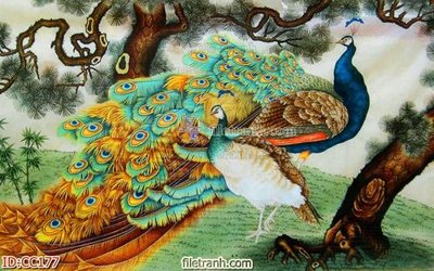 File gốc File gốc tranh chim công CC177 (PNG) nền trong suốt