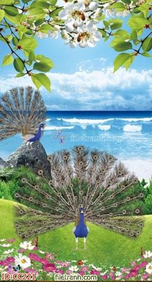 File tranh in tráng gương File gốc tranh chim công CC221 (siêu nét)