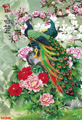 Download file File gốc tranh chim công CC240 (gốc) cho xưởng in