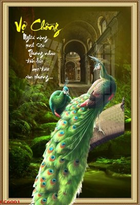 File PSD File gốc tranh chim công CC6001 (bản gốc) đã tách nền