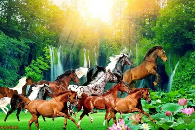 File ảnh File gốc tranh chim công CC6022 (gốc) trang trí khách sạn