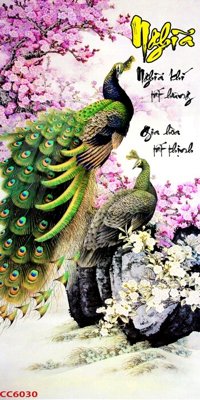 Tải file gốc File gốc tranh chim công CC6030 (in bạt) quảng cáo