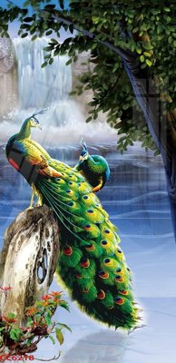 Download file File gốc tranh chim công CC6218 (gốc) in mica đèn LED