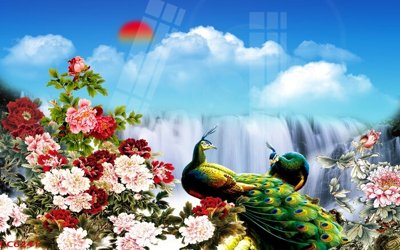 Hình ảnh file gốc File gốc tranh chim công CC6241 (chất lượng cao)