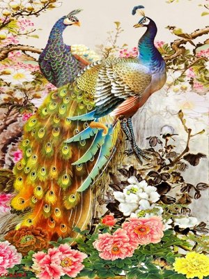 Hình ảnh file gốc in trần nhà File gốc tranh chim công CC6243