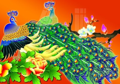 Download file File gốc tranh chim công CC6318 (chất lượng in ấn)