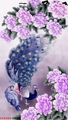 File in lụa File gốc tranh chim công CC6369 (phong cảnh) File gốc tranh chim công CC6369