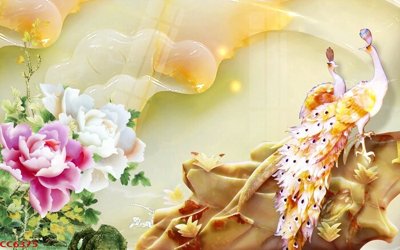 Tải file File gốc tranh chim công CC6375 (ảnh gốc) độ phân giải 300dpi