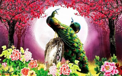 File tranh gốc File gốc tranh chim công CC6421 (bản quyền) file PSD