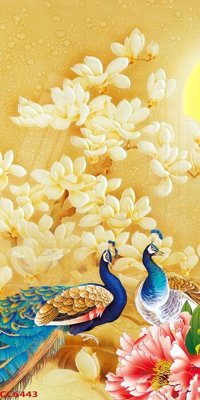 File tranh File gốc tranh chim công CC6443 (ảnh gốc) cho in ấn kỹ thuật số