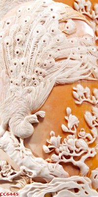 Tải file File gốc tranh chim công CC6445 (gốc) in ấn ngay lập tức