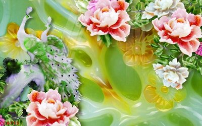 Tải file File gốc tranh chim công CC6715 (gốc) làm file quảng cáo