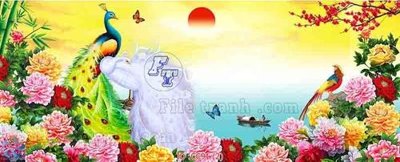 File in ấn chuyên nghiệp File gốc tranh chim công CC91 (file gốc)