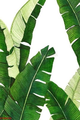 Tải file File tranh dán tường cà phê nhà hàng CF8036 (gốc) in ấn ngay lập tức