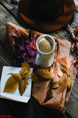 Download file gốc File tranh dán tường cà phê nhà hàng CF8142 (in lụa) hoa lá