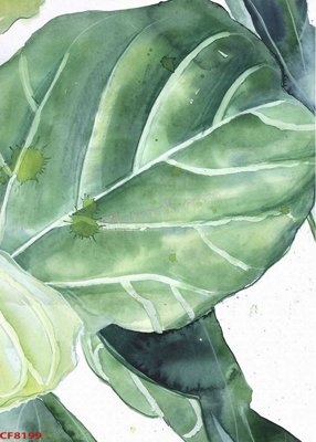 File in lụa File tranh dán tường cà phê nhà hàng CF8199 (phong cảnh) File tranh dán tường cà phê nhà hàng CF8199