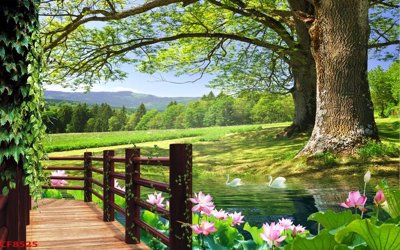 File gốc File tranh dán tường cà phê nhà hàng CF8525 (PNG) nền trong suốt