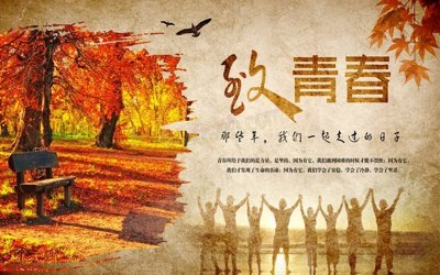 File in trần File tranh dán tường cà phê nhà hàng CF8557 (bản gốc 3D) sống động